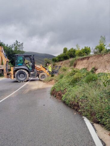 Caída de árboles en viales autonómicos