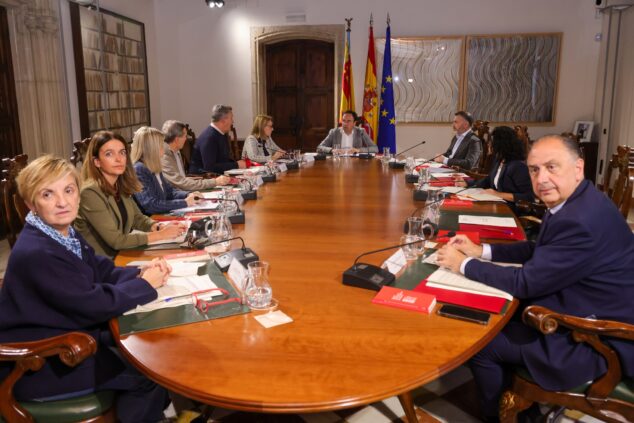 Imagen: El Pleno del Consell, reunido de forma extraordinaria para dar luz verde a los 23,5 millones de euros de ayudas urgentes
