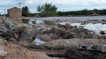 La Generalitat recomienda mantener la suspensión de la caza en la Marjal de Pego-Oliva 6 infraestructuras afectadas en pego imagen del ayuntamiento de pego