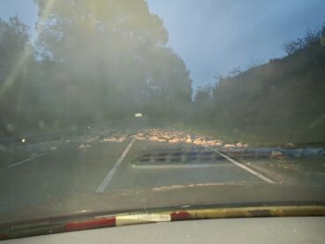 La Marina Alta, castigada por las inundaciones: Pego, el municipio con más intervenciones de rescate 2 la lluvia provoca cortes de carreteras en direccion a pego