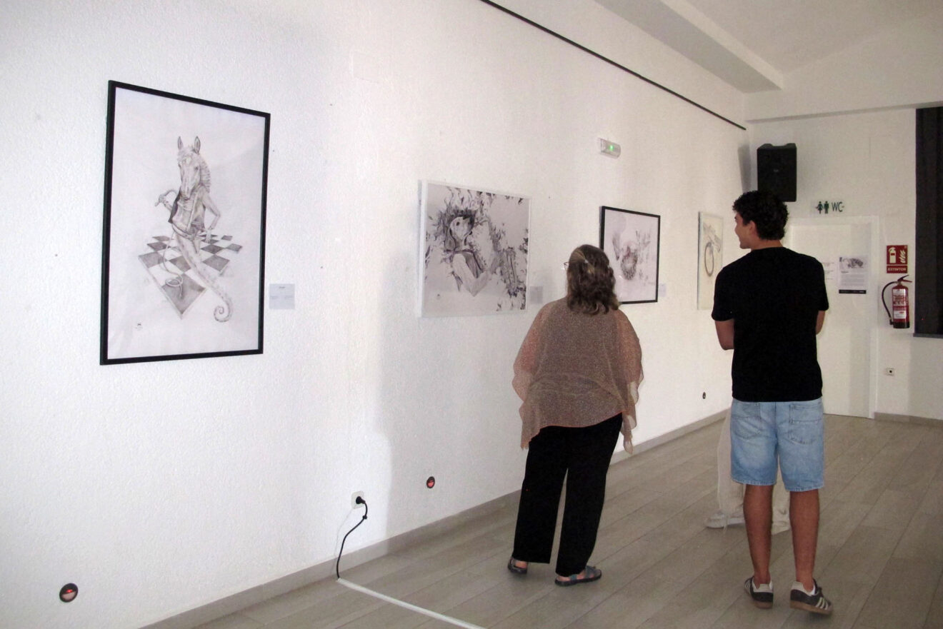 Persianes amb Art 2026 Els Poblets 49