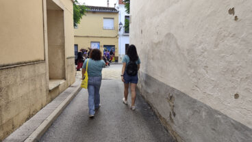 Persianes amb Art 2026 en Els Poblets 12